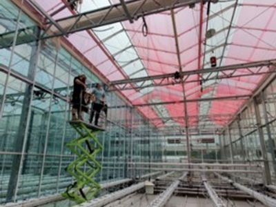 lleaf-pty-ltd-administrator-appointed-1