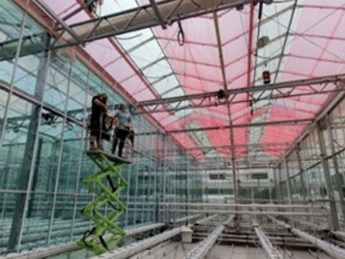 lleaf-pty-ltd-administrator-appointed-1