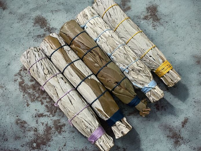 work-from-home-wellness-brand-trademarked-ready-to-grow-3