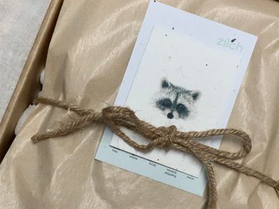 eco-ecom-business-with-big-potential-7