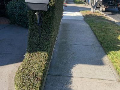 profitable-garden-maintenance-business-melbourne-2