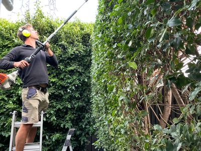 profitable-garden-maintenance-business-melbourne-1