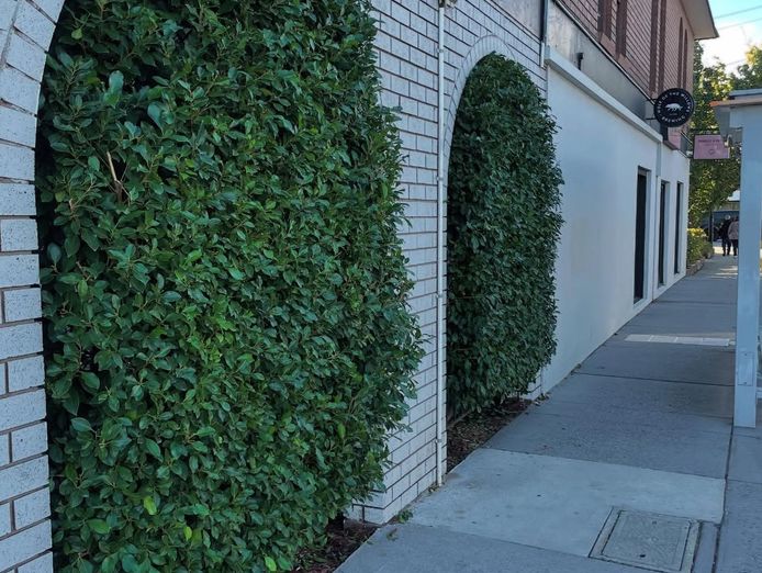 profitable-garden-maintenance-business-melbourne-5