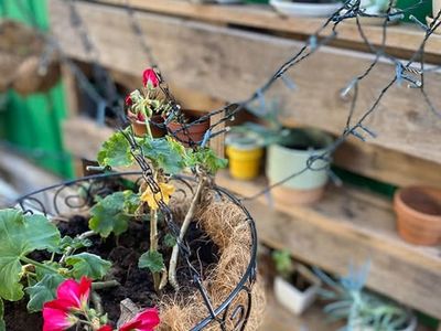 cafe-in-payneham-for-sale-includes-a-lease-on-attached-2-bedroom-house-8