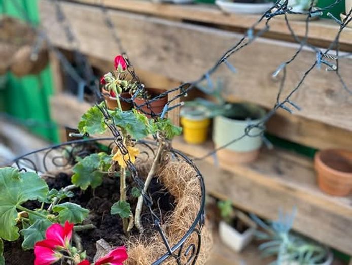 cafe-in-payneham-for-sale-includes-a-lease-on-attached-2-bedroom-house-8