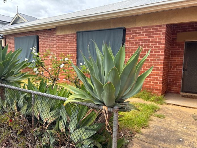 cafe-in-payneham-for-sale-includes-a-lease-on-attached-2-bedroom-house-4