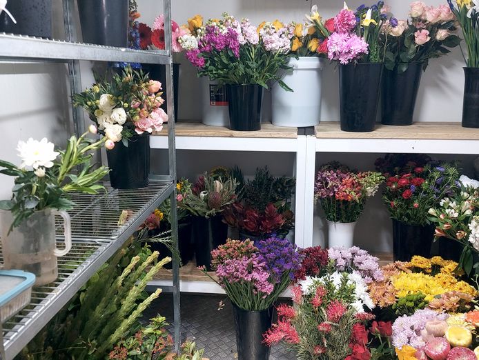 fiorella-florals-florist-gift-boutique-espresso-bar-whitsundays-qld-2