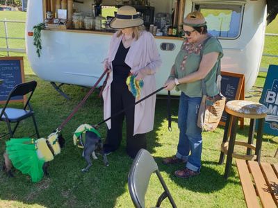 vintage-sunliner-coffee-van-unique-turnkey-mobile-cafe-business-for-sale-now-4