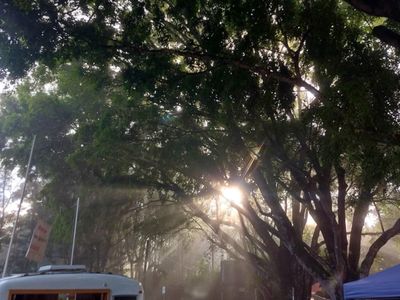 vintage-sunliner-coffee-van-unique-turnkey-mobile-cafe-business-for-sale-now-5