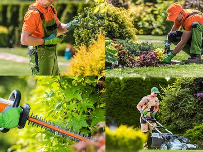 established-lawn-garden-maintenance-business-gold-coast-brisbane-1