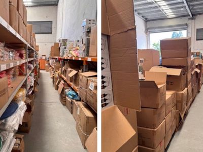established-ecommerce-business-176k-profit-flexible-owner-lifestyle-7