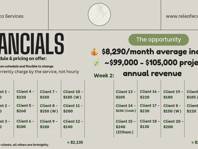 releaf-eco-services-5-years-of-growth-100k-annual-revenue-8