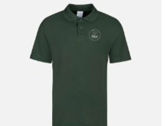 releaf-eco-services-5-years-of-growth-100k-annual-revenue-6