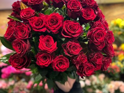 established-flower-shop-for-sale-prime-sydney-location-eastern-suburbs-3