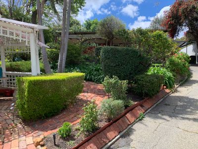 lawn-garden-business-for-sale-61-clients-1