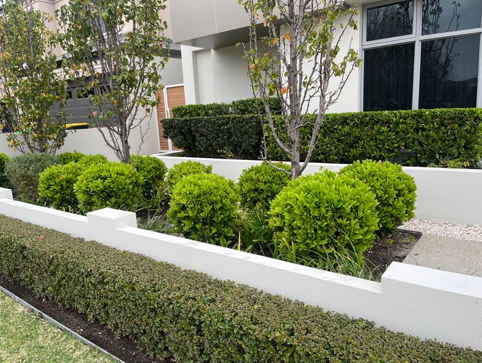 lawn-garden-business-for-sale-61-clients-0