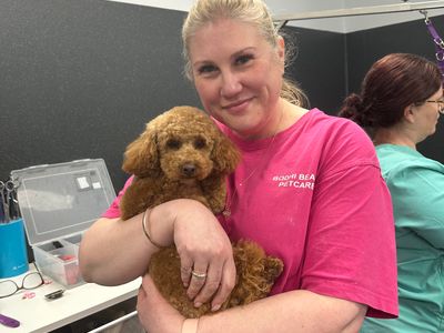 busy-established-dog-grooming-salon-pet-supplies-store-3