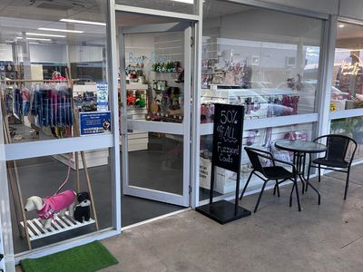 busy-established-dog-grooming-salon-pet-supplies-store-0