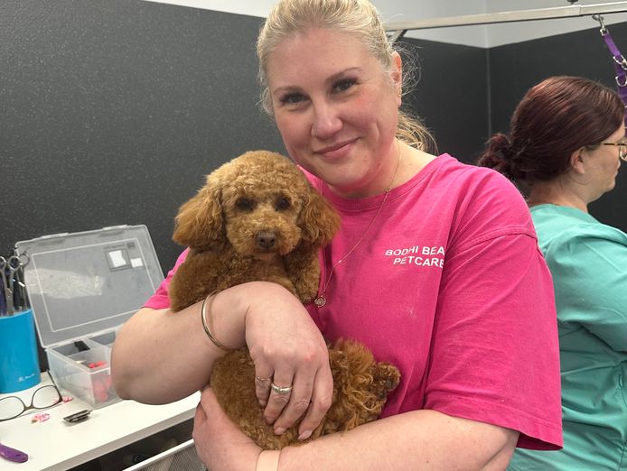 busy-established-dog-grooming-salon-pet-supplies-store-3