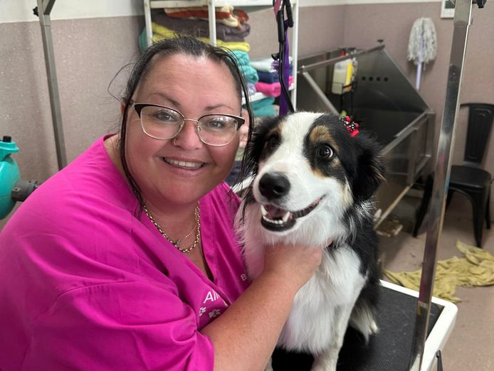 busy-established-dog-grooming-salon-pet-supplies-store-2