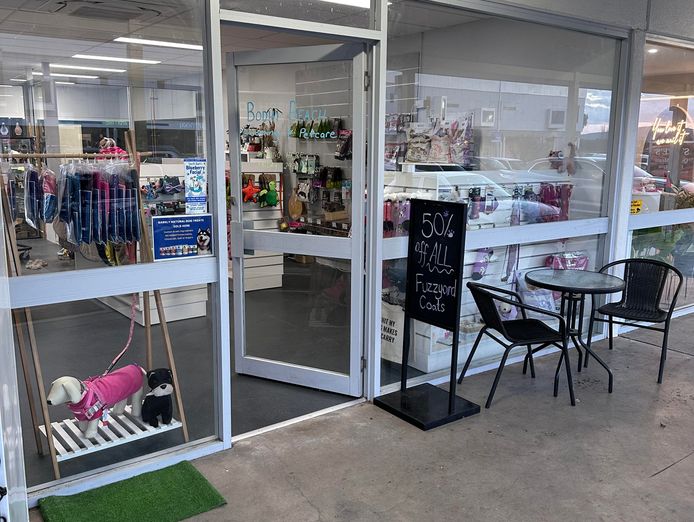 busy-established-dog-grooming-salon-pet-supplies-store-0