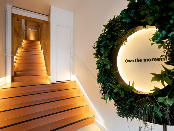 o-studio-recovery-wellbeing-space-0