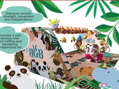 online-baby-gym-bars-pty-ltd-business-easy-to-run-dtc-brand-with-unique-product-5