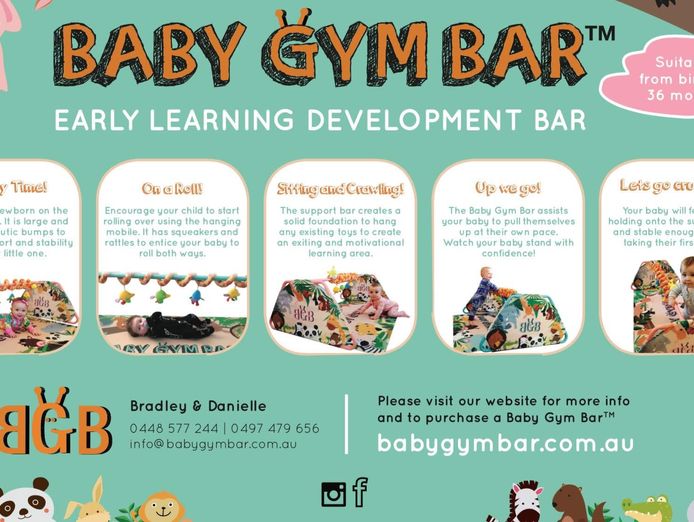 online-baby-gym-bars-pty-ltd-business-easy-to-run-dtc-brand-with-unique-product-4