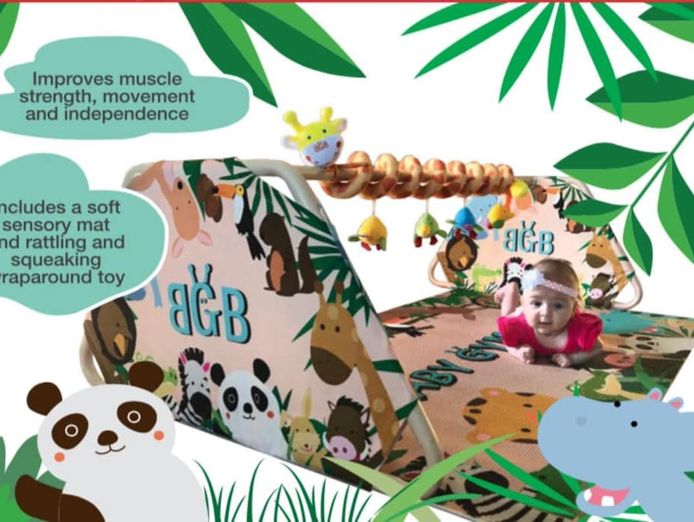 online-baby-gym-bars-pty-ltd-business-easy-to-run-dtc-brand-with-unique-product-5