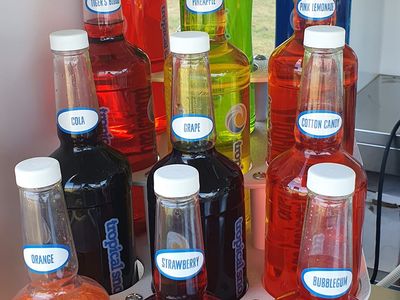 business-for-sale-tropical-sno-mobile-food-van-6