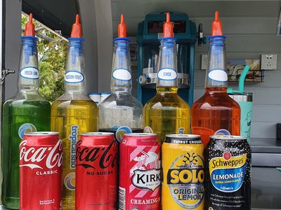 business-for-sale-tropical-sno-mobile-food-van-5