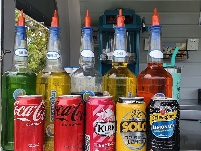 business-for-sale-tropical-sno-mobile-food-van-5