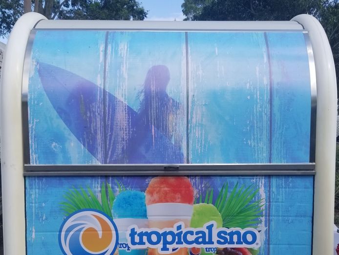 business-for-sale-tropical-sno-mobile-food-van-2