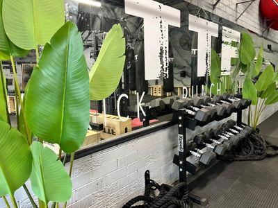 western-suburbs-gym-3