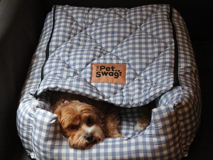 established-e-commerce-the-pet-swag-pty-ltd-melbourne-price-drop-0