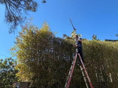 garden-maintenance-melbournes-south-east-0