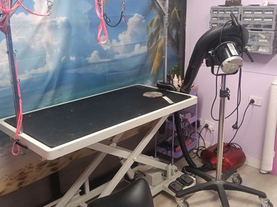 pymble-dog-grooming-salon-fully-equipped-low-rent-3