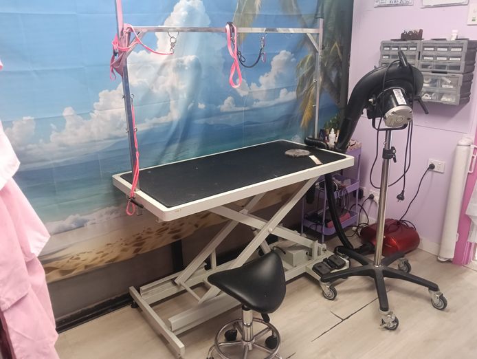 pymble-dog-grooming-salon-fully-equipped-low-rent-1