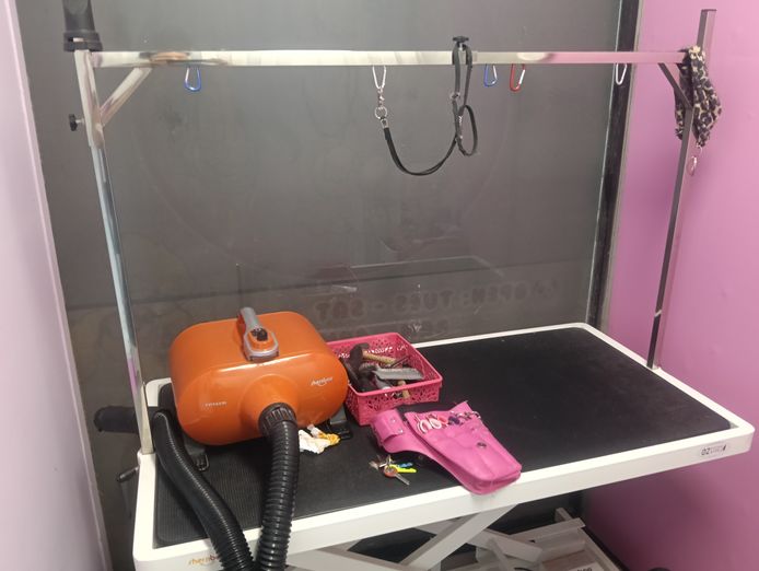 pymble-dog-grooming-salon-fully-equipped-low-rent-5