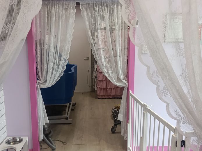 pymble-dog-grooming-salon-fully-equipped-low-rent-2