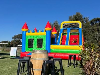 established-bouncy-castle-buisness-1