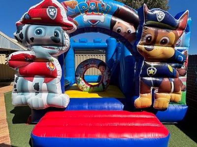 established-bouncy-castle-buisness-5