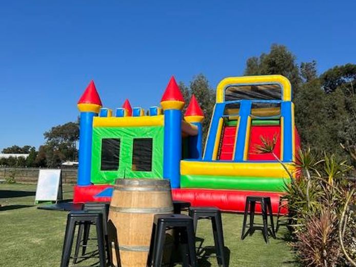 established-bouncy-castle-buisness-1