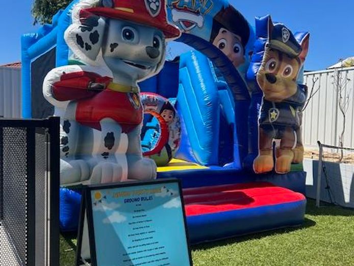 established-bouncy-castle-buisness-6