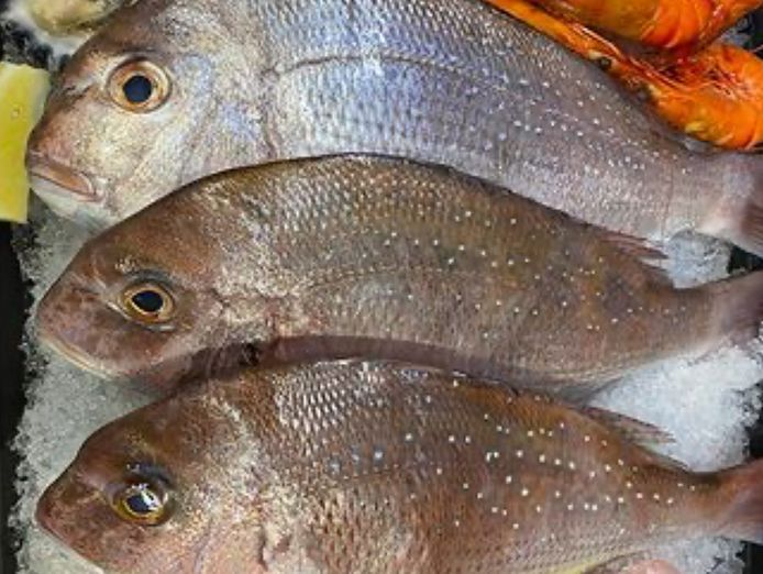 a-waterfront-fish-chips-shop-for-sell-in-south-coast-1