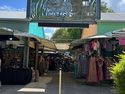 designer-ladies-clothing-business-established-high-foot-traffic-location-8