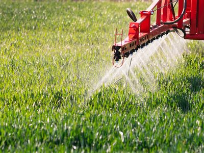 established-environmental-amp-forestry-services-provider-8