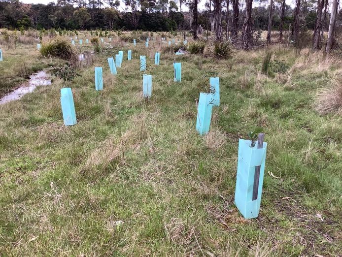 established-environmental-amp-forestry-services-provider-2