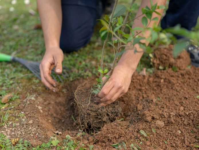 established-environmental-amp-forestry-services-provider-3