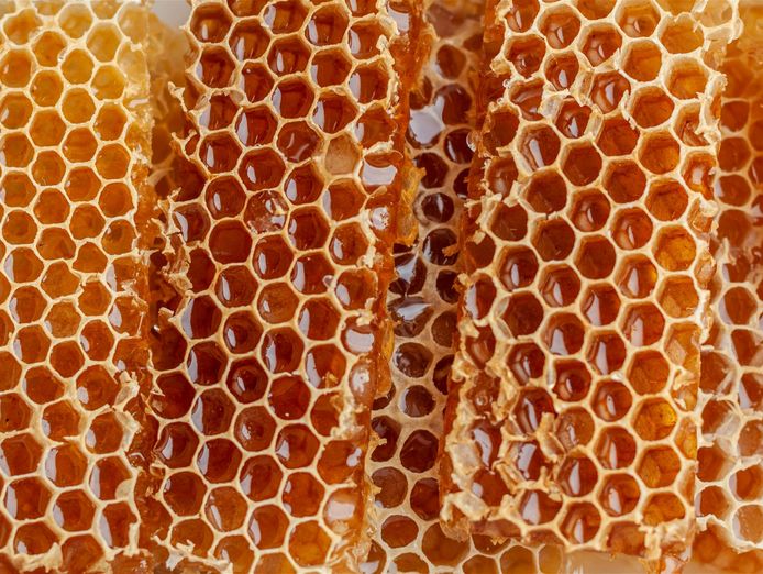 iconic-3rd-generation-tasmanian-honey-producer-7